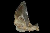 Dogtooth Calcite Crystal Cluster - Morocco #96841-1